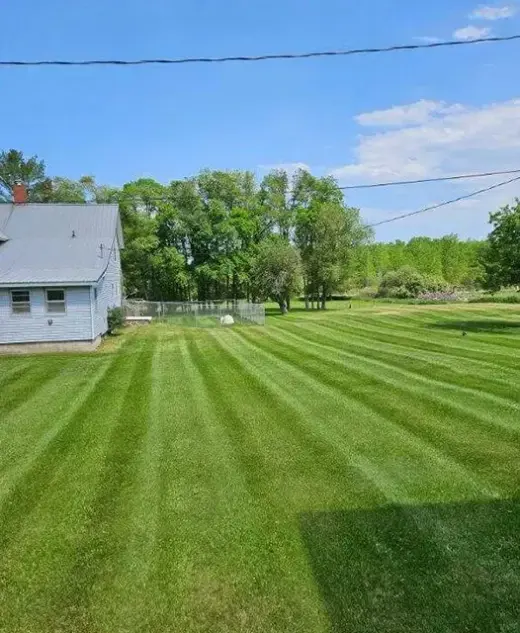 Freshly mowed, striped lawn beside a white house