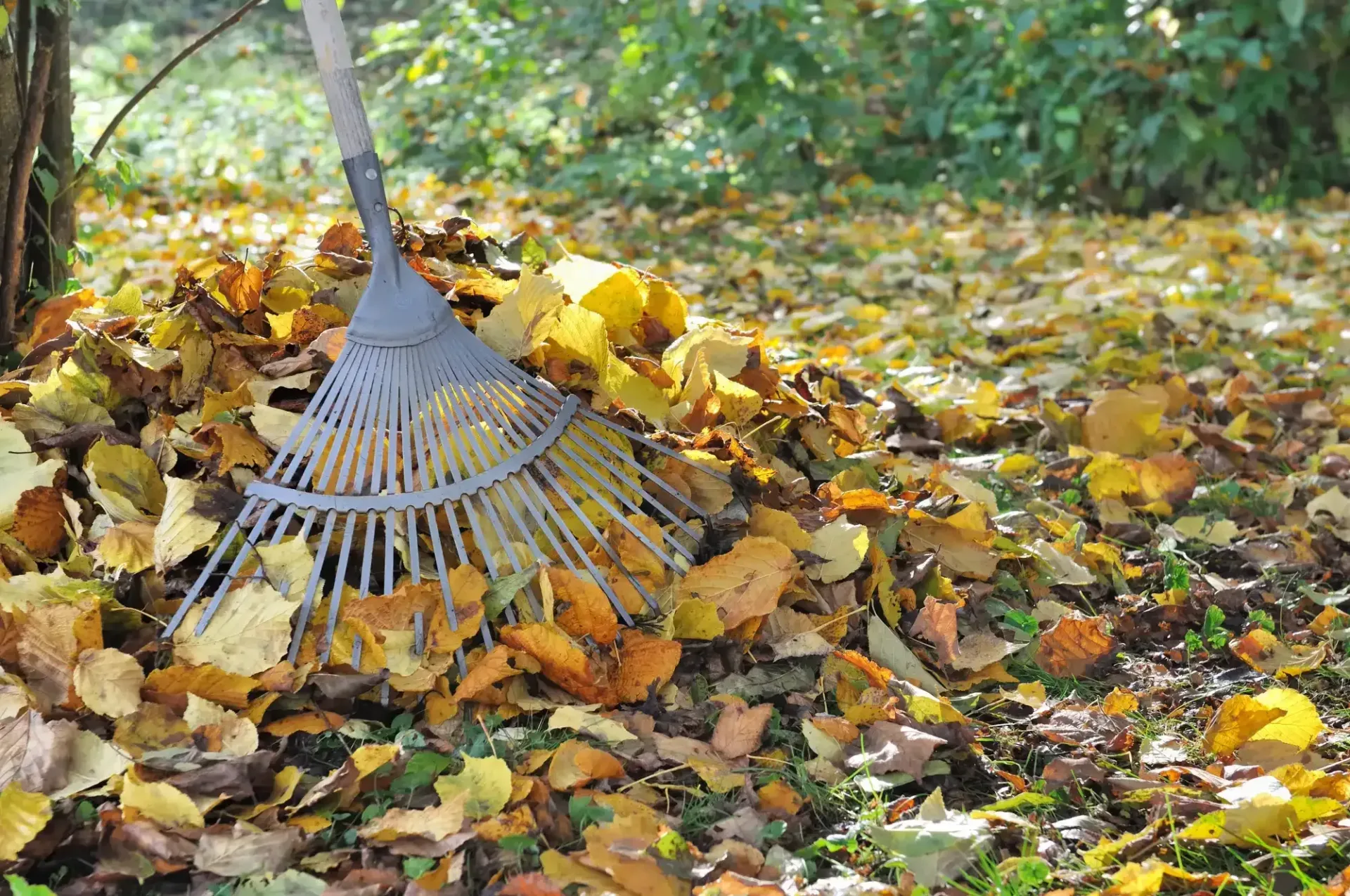 Spring & Fall Clean-Up Services in Indian River and Traverse City, MI — Hope Landscaping LLC, Northern Michigan