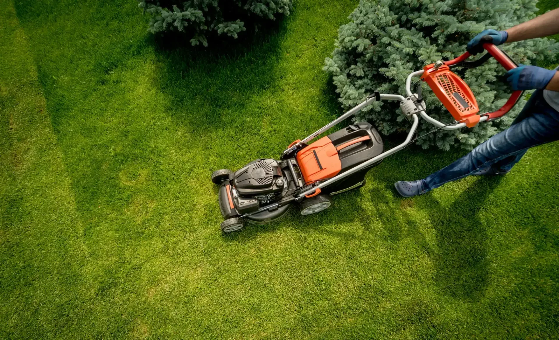 Lawn Care & Fertilization Services in Indian River and Traverse City, MI — Hope Landscaping LLC, Northern Michigan