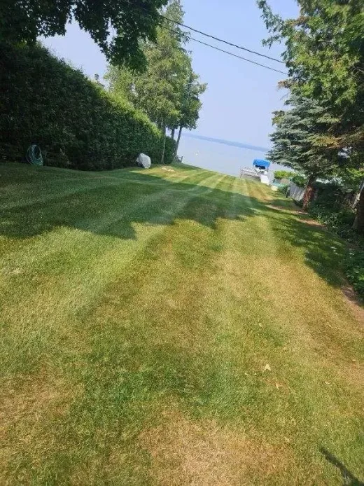Assessing Your Property for Lawn Sod Installation
