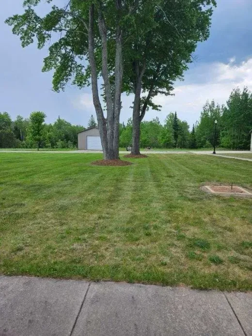 Expert Landscape Construction