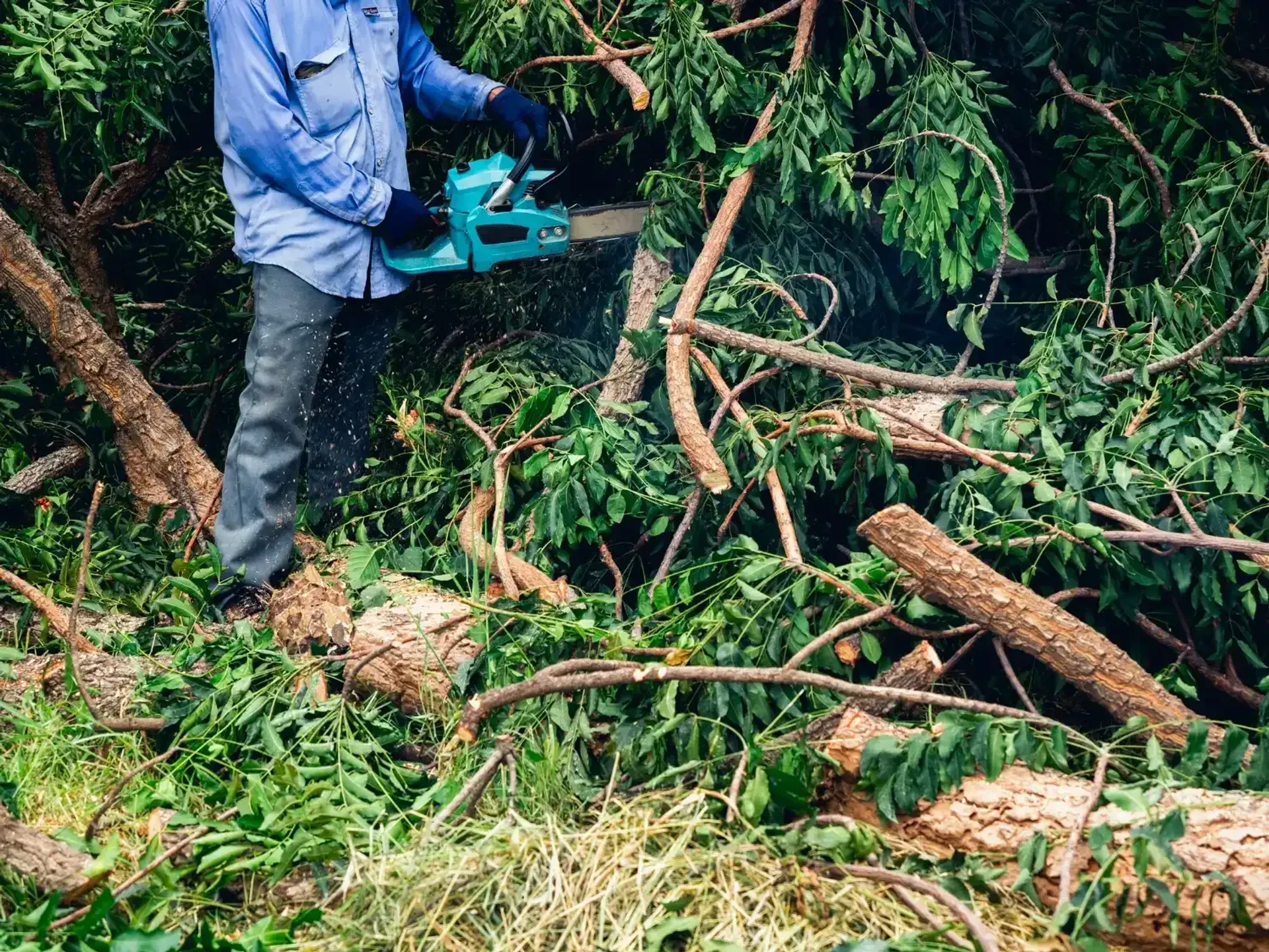 Land & Brush Clearing Services in Indian River and Traverse City, MI — Hope Landscaping LLC, Northern Michigan