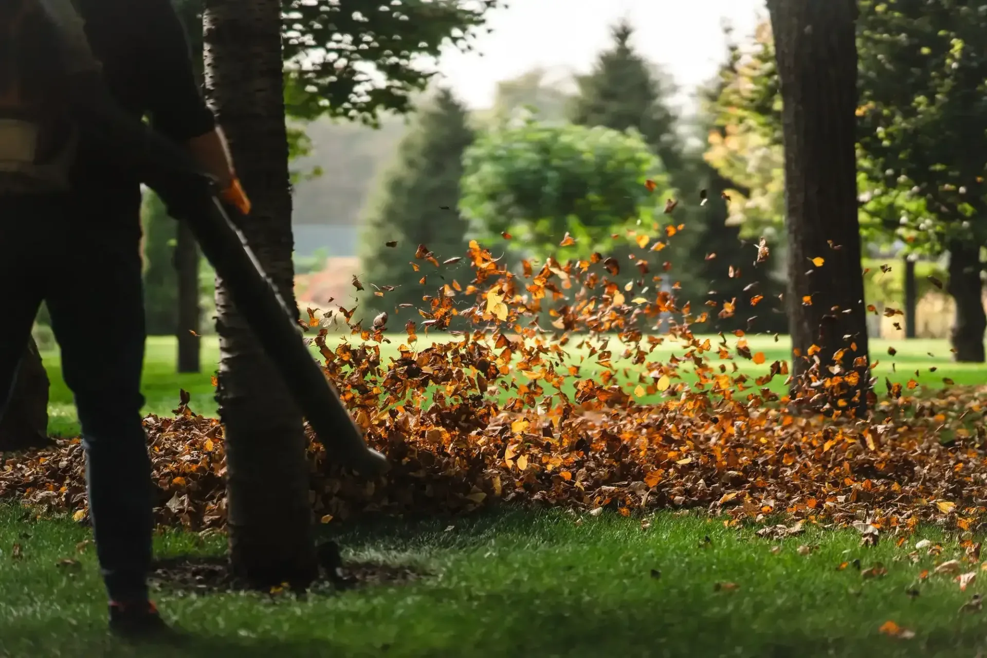 Lot Clearing & Grading Services in Indian River and Traverse City, MI — Hope Landscaping LLC, Northern Michigan