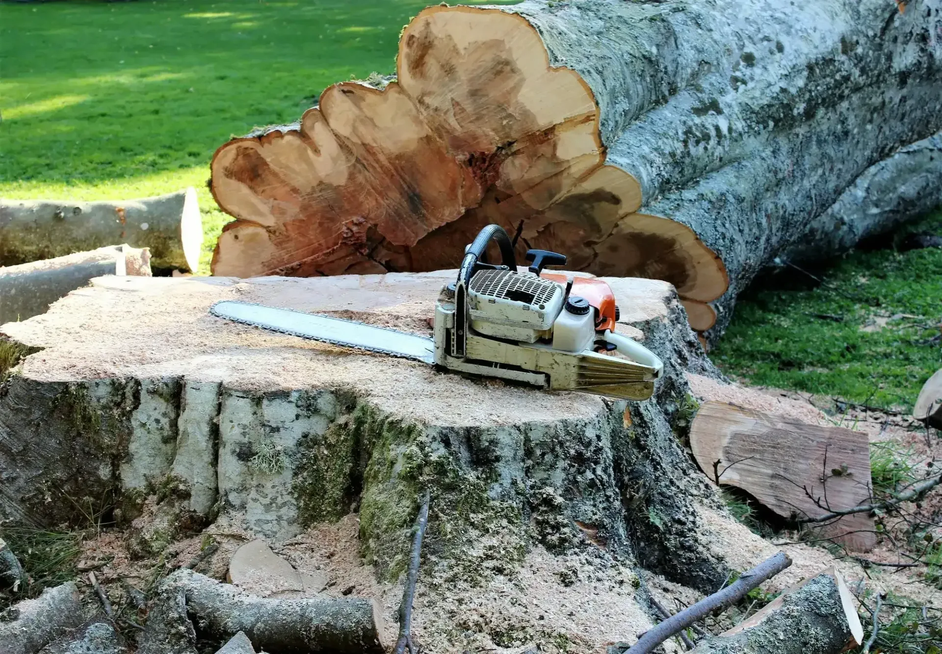 Stump Grinding & Removal Services in Indian River and Traverse City, MI — Hope Landscaping LLC, Northern Michigan