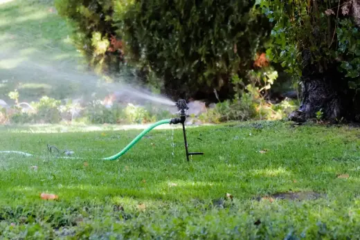 Oscillating sprinkler on a garden hose watering a lawn