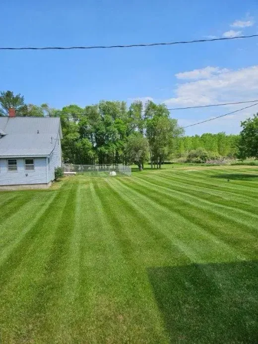 Striped, freshly cut lawn next to a house and shade trees