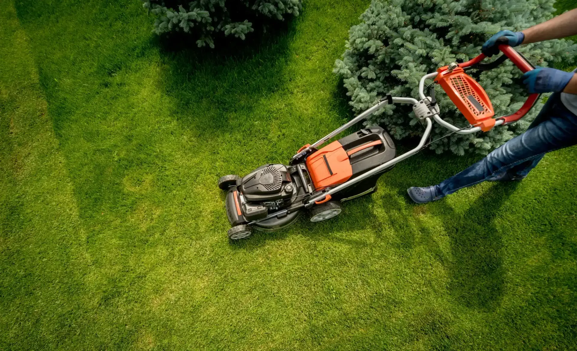 Overhead view of a person pushing an orange lawn mower across green grass