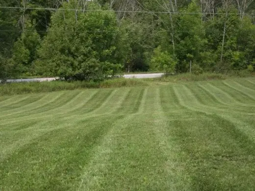 Striped, freshly mowed field in front of a dense tree line
